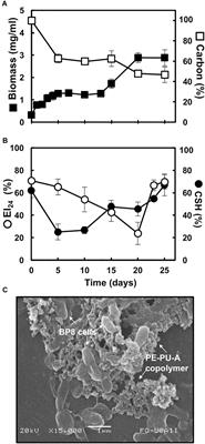 Degradation of Recalcitrant Polyurethane and Xenobiotic Additives by a Selected Landfill Microbial Community and Its Biodegradative Potential Revealed by Proximity Ligation-Based Metagenomic Analysis